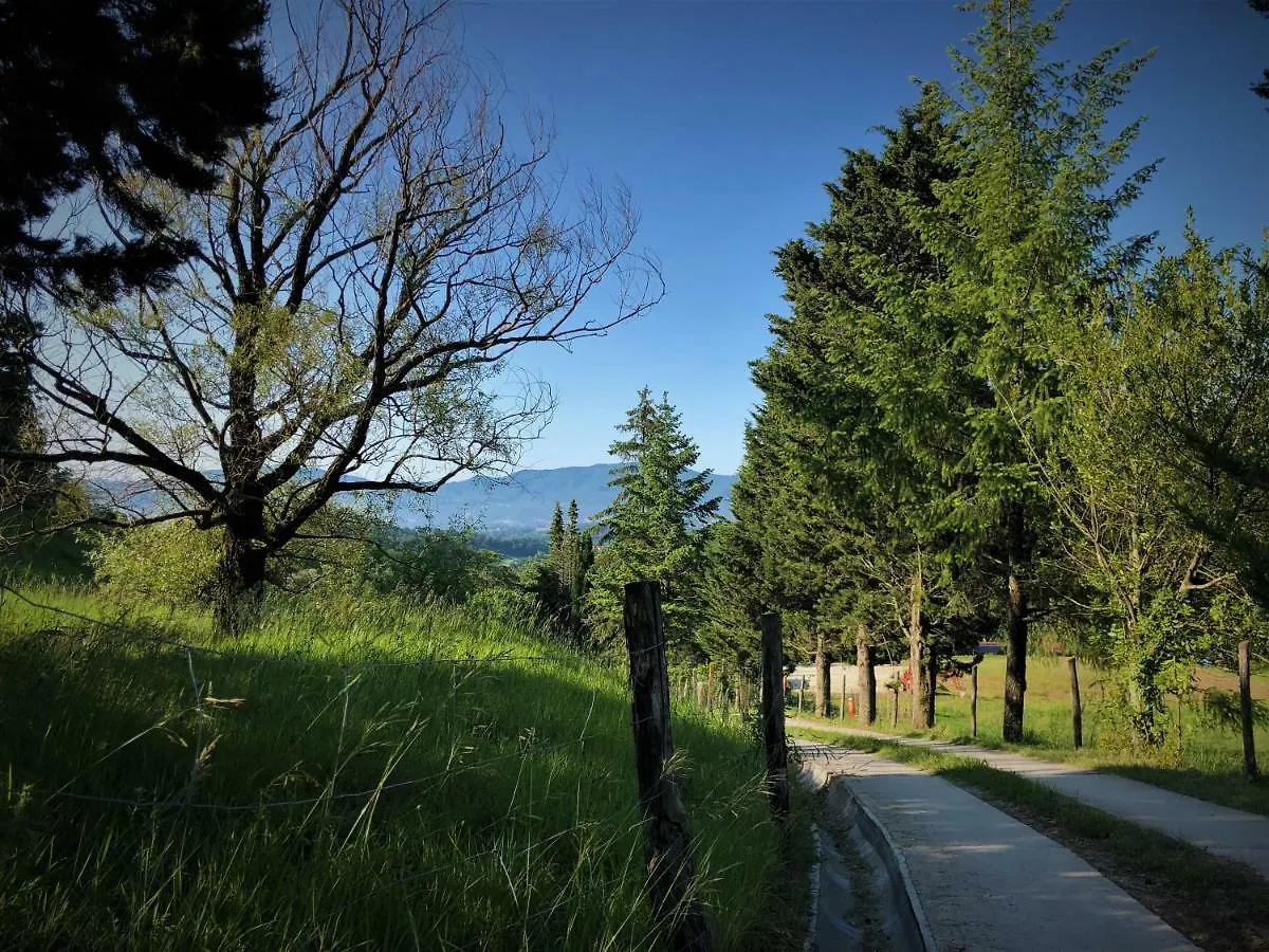 Bed & Breakfast Podere Badia Valdrago Agriturismo Mugello Circuit Scarperia Italy